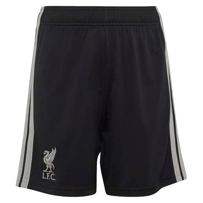 Liverpool Ausweichtrikot-Set 2026/27